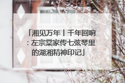 湘见万年丨千年回响：左宗棠家传七弦琴里的湖湘精神印记