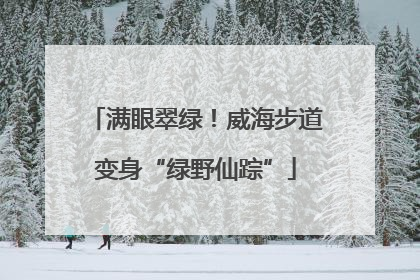 满眼翠绿！威海步道变身“绿野仙踪”