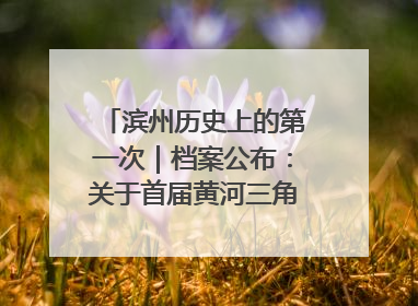 滨州历史上的第一次｜档案公布：关于首届黄河三角洲城市经济博览会暨发展论坛情况的总结报告