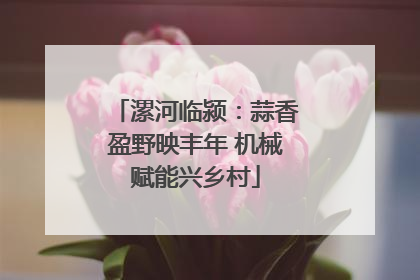 漯河临颍：蒜香盈野映丰年 机械赋能兴乡村