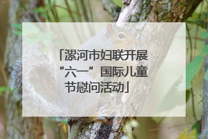 漯河市妇联开展“六一”国际儿童节慰问活动