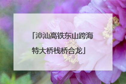 漳汕高铁东山跨海特大桥栈桥合龙