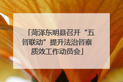 菏泽东明县召开“五督联动”提升法治督察质效工作动员会