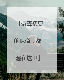菏泽初夏的味道，都藏在这里
