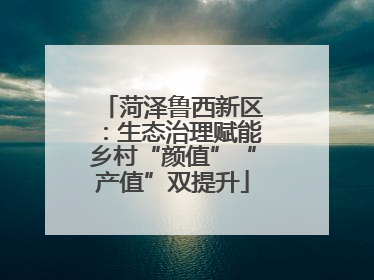 菏泽鲁西新区：生态治理赋能乡村“颜值”“产值”双提升