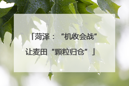 菏泽：“机收会战”让麦田“颗粒归仓”
