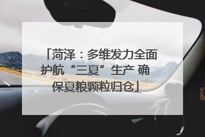菏泽：多维发力全面护航“三夏”生产 确保夏粮颗粒归仓