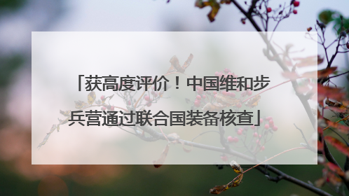 获高度评价！中国维和步兵营通过联合国装备核查