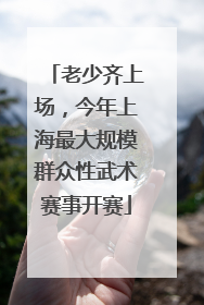 老少齐上场，今年上海最大规模群众性武术赛事开赛