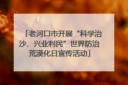 老河口市开展“科学治沙、兴业利民”世界防治荒漠化日宣传活动