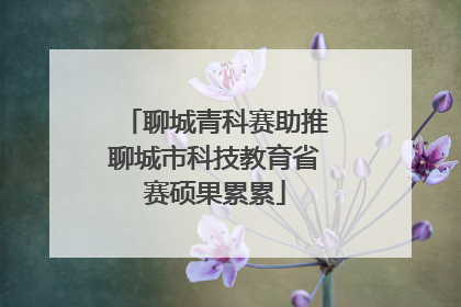 聊城青科赛助推聊城市科技教育省赛硕果累累