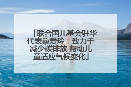 联合国儿基会驻华代表桑爱玲：致力于减少碳排放 帮助儿童适应气候变化