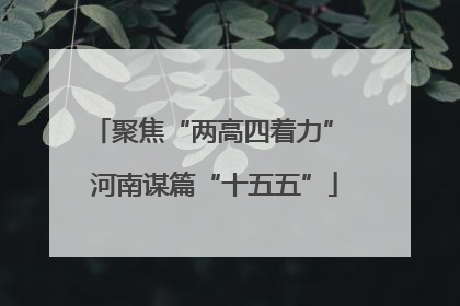 聚焦“两高四着力” 河南谋篇“十五五”