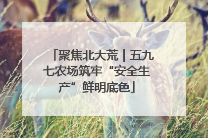 聚焦北大荒｜五九七农场筑牢“安全生产”鲜明底色