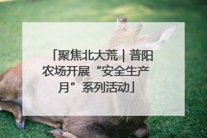 聚焦北大荒｜普阳农场开展“安全生产月”系列活动