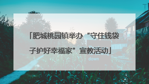 肥城桃园镇举办“守住钱袋子护好幸福家”宣教活动