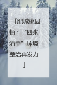 肥城桃园镇：“四张清单”环境整治再发力