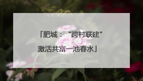 肥城：“跨村联建”激活共富一池春水