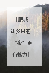 肥城：让乡村的“夜”更有魅力