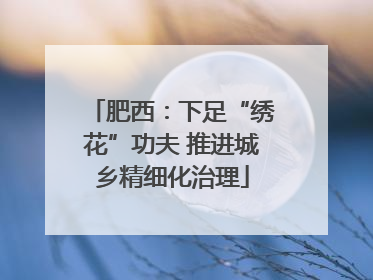 肥西：下足“绣花”功夫 推进城乡精细化治理