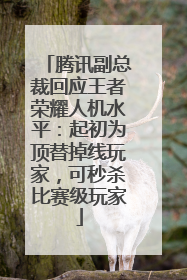 腾讯副总裁回应王者荣耀人机水平：起初为顶替掉线玩家，可秒杀比赛级玩家