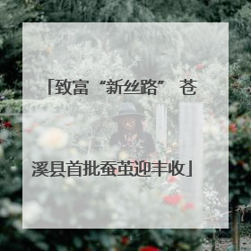 致富“新丝路” 苍溪县首批蚕茧迎丰收