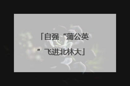 自强“蒲公英”飞进北林大
