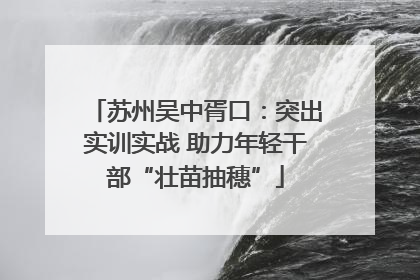 苏州吴中胥口：突出实训实战 助力年轻干部“壮苗抽穗”