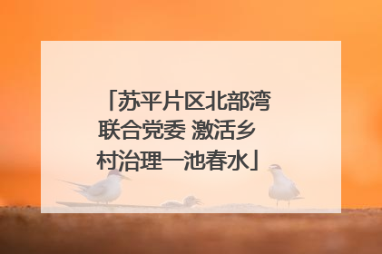 苏平片区北部湾联合党委 激活乡村治理一池春水