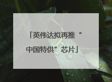 英伟达拟再推“中国特供”芯片
