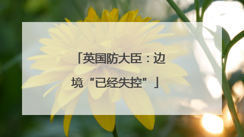 英国防大臣：边境“已经失控”