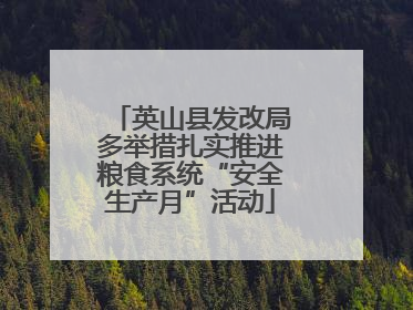 英山县发改局多举措扎实推进粮食系统“安全生产月”活动