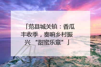 范县城关镇：香瓜丰收季，奏响乡村振兴 “甜蜜乐章”