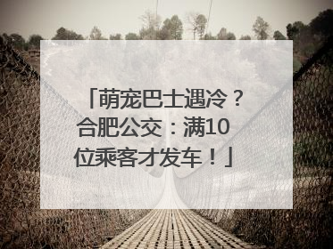 萌宠巴士遇冷？合肥公交：满10位乘客才发车！