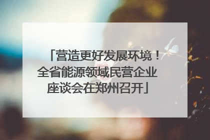 营造更好发展环境！全省能源领域民营企业座谈会在郑州召开