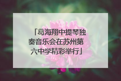 葛海翔中提琴独奏音乐会在苏州第六中学精彩举行