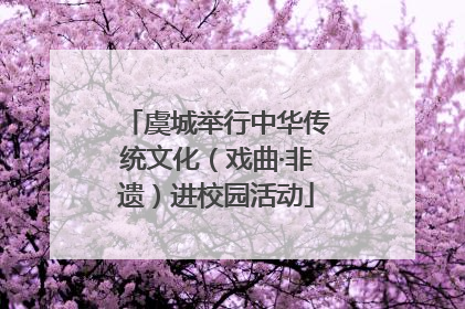 虞城举行中华传统文化（戏曲·非遗）进校园活动