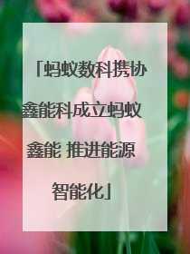 蚂蚁数科携协鑫能科成立蚂蚁鑫能 推进能源智能化