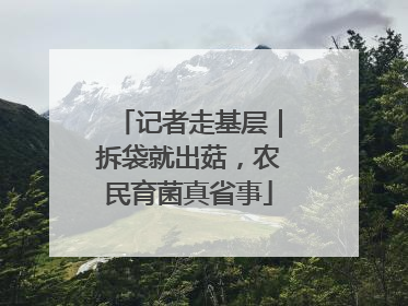记者走基层｜拆袋就出菇，农民育菌真省事