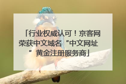 行业权威认可！京客网荣获中文域名“中文网址”黄金注册服务商