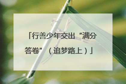 行善少年交出“满分答卷”（追梦路上）