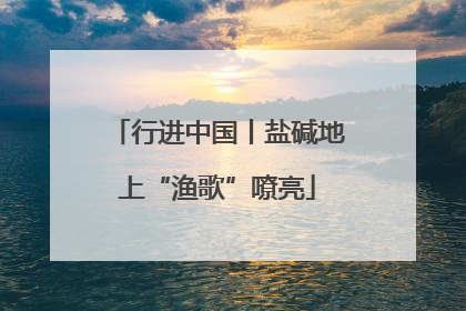 行进中国丨盐碱地上“渔歌”嘹亮