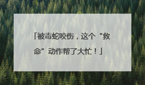被毒蛇咬伤，这个“救命”动作帮了大忙！