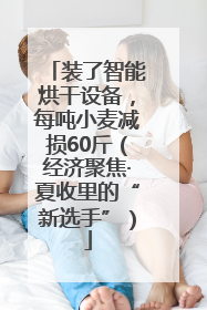装了智能烘干设备，每吨小麦减损60斤（经济聚焦·夏收里的“新选手”）