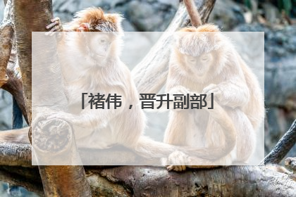 褚伟，晋升副部