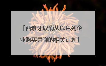 西班牙取消从以色列企业购买导弹的相关计划