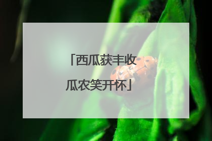 西瓜获丰收 瓜农笑开怀