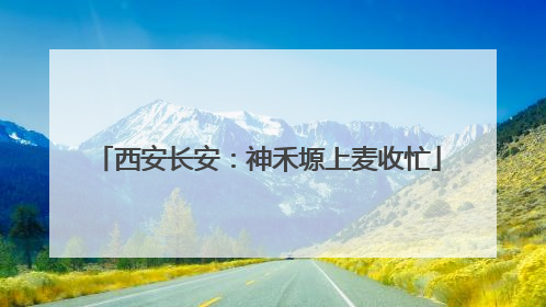 西安长安：神禾塬上麦收忙