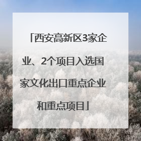 西安高新区3家企业、2个项目入选国家文化出口重点企业和重点项目