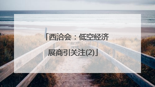 西洽会：低空经济展商引关注(2)